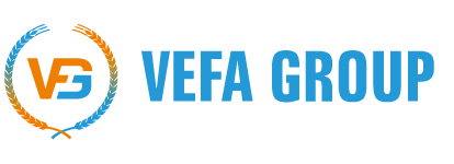 Vefa Group